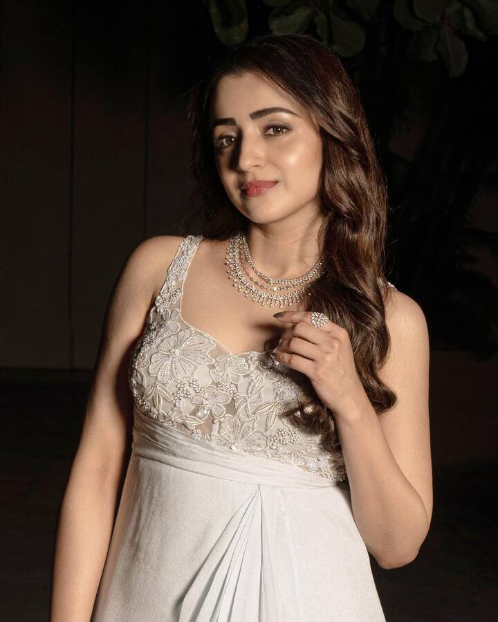 చిరంజీవి, వెంకటేష్, నాగార్జున, మహేష్ బాబు, పవన్ కళ్యాణ్,లాంటి స్టార్ హీరోలతో  త్రిష నటించింది.