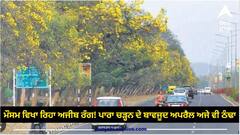 Weather Update: ਮੌਸਮ ਵਿਖਾ ਰਿਹਾ ਅਜੀਬ ਰੰਗ! ਪਾਰਾ ਚੜ੍ਹਨ ਦੇ ਬਾਵਜੂਦ ਅਪਰੈਲ ਅਜੇ ਵੀ ਠੰਢਾ