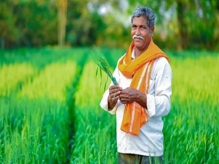 Agriculture News KissanGPT the AI chatbot helping Indian farmers maximize their profits Kissan GPT : शेतीसंदर्भातील चर्चेसाठी KissanGPT चा AI चॅटबॉट लॉन्च, शेतकऱ्यांना मिळणार योग्य वेळी योग्य सल्ला 