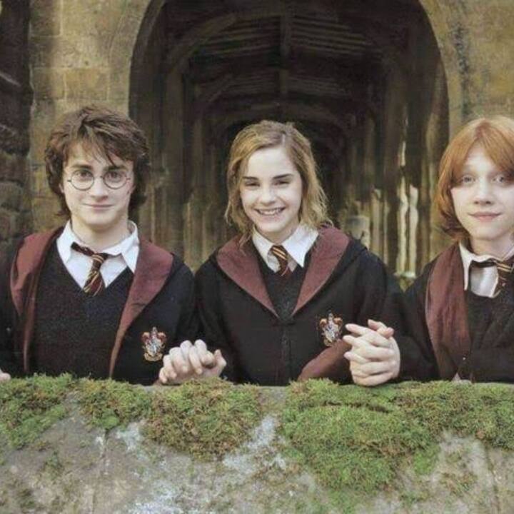 ஹாரி பாட்டர் கதாப்பாத்திரங்களில் நடித்திருந்த டேனியல் ராட்க்ளிஃப், ரூப்பர்ட் க்ரிண்ட், எம்மா வாட்சன் ஆகியோர் புதிதாக உருவாக உள்ள தொடரில் கெஸ்ட் ரோலில் நடிப்பார்கள் என நம்பப்படுகிறது.