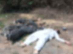 Asad Ahmed Encounter Photo: असद अहमद के एनकाउंटर का पहला फोटो, ये तस्वीरें आपको विचलित कर सकती हैं