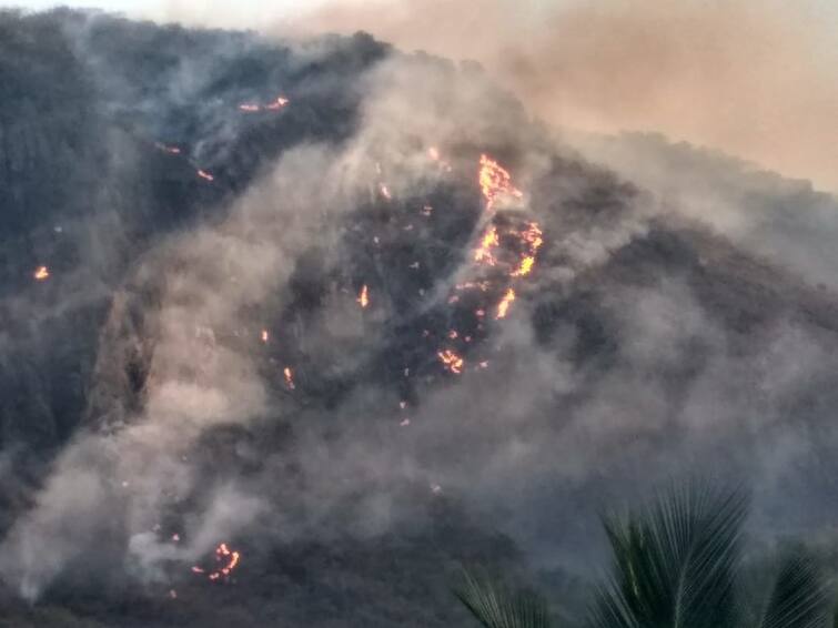 50 hectares of forests have been destroyed in a forest fire burning in the Western Ghats near Coimbatore TNN கோவை அருகே மேற்கு தொடர்ச்சி மலையில் பற்றி எரியும் காட்டு தீ ; 50 ஹெக்டர் வனப்பகுதிகள் எரிந்து நாசம்