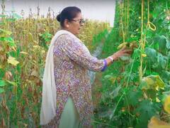 खेती के शौक को बना लिया अपना काम... इन तकनीकों से मुनाफा लेकर मिसाल बनी महिला किसान!