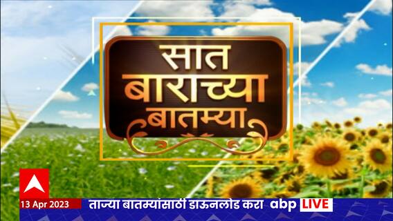 Saat Barachya Batmya:केशर आंबा बागेचं मोठं नुुकसान - गारामुळे काढणीला आलेला आंबा खराब:13 एप्रिल 2023