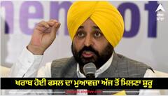 ਖਰਾਬ ਹੋਈ ਫਸਲ ਦਾ ਮੁਆਵਜ਼ਾ ਅੱਜ ਤੋਂ ਮਿਲਣਾ ਸ਼ੁਰੂ, CM ਮਾਨ ਨੇ ਕੀਤਾ ਟਵੀਟ, ਫਸਲ ਖੇਤਾਂ 'ਚ ਪਰ ਪੈਸਾ ਖਾਤੇ 'ਚ…