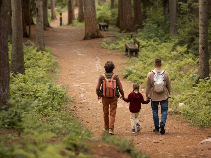 Google Map brings four new features to explore national parks in better way details Google Maps में आ रहे ये 4 कमाल के फीचर, पिकनिक-साइकिलिंग और ऑफ रोडिंग करने वालों की होगी मौज, कैसे?