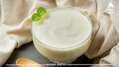 Curd Benefits: ਖੰਡ ਨਾਲ ਜਾਂ ਨਮਕ ਨਾਲ? ਜਾਣੋ ਕਿਸ ਨਾਲ ਦਹੀਂ ਖਾਣਾ ਸਹੀ ਹੈ...