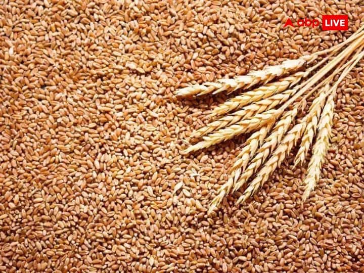 Wheat Export Ban: घरेलू बाजार में सप्लाई बढ़ने और महंगाई में कमी आने तक जारी रहेगी गेहूं के निर्यात पर रोक Wheat Export Ban To Continue In India To Insure Adequate Supply In Domestic Market And Keep Inflation At Check Says Piysuh Goyal Wheat Export Ban: घरेलू बाजार में सप्लाई बढ़ने और महंगाई में कमी आने तक जारी रहेगी गेहूं के निर्यात पर रोक