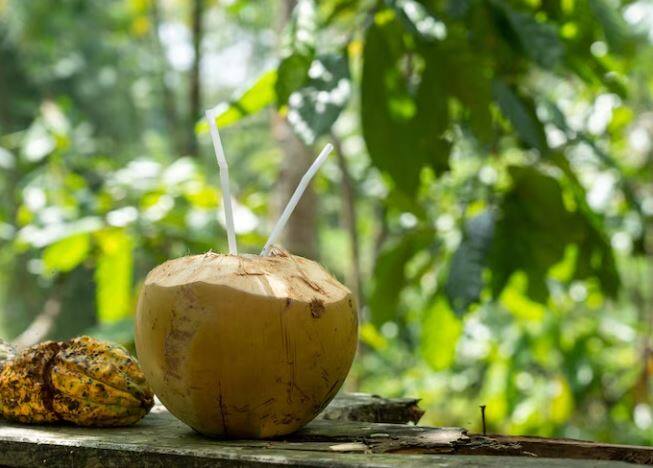 उन्हाळ्यात तुम्ही नारळाचे पाणी जरुर प्यावे, त्यात इलेक्ट्रोलाईट्स असतात, ते तुम्हाला हायड्रेट ठेवण्यास मदत करु शकतात. तसंच पोट थंड ठेवण्यास मदत होते. नारळाच्या पाण्यामध्ये थंडावा असतो ज्यामुळे उष्माघातापासून संरक्षण होते.