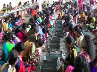 Palani Temple Collection: பழனி முருகன் கோயில் உண்டியல் காணிக்கை எவ்வளவு தெரியுமா?
