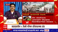 Nandurbar : नंदुरबारच्या शहाद्यातील घोड्यांवर ग्लॅडर्स रोगाचा प्रादुर्भाव, 5 किमी परिसर प्रतिबंधात्मक क्षेत्र
