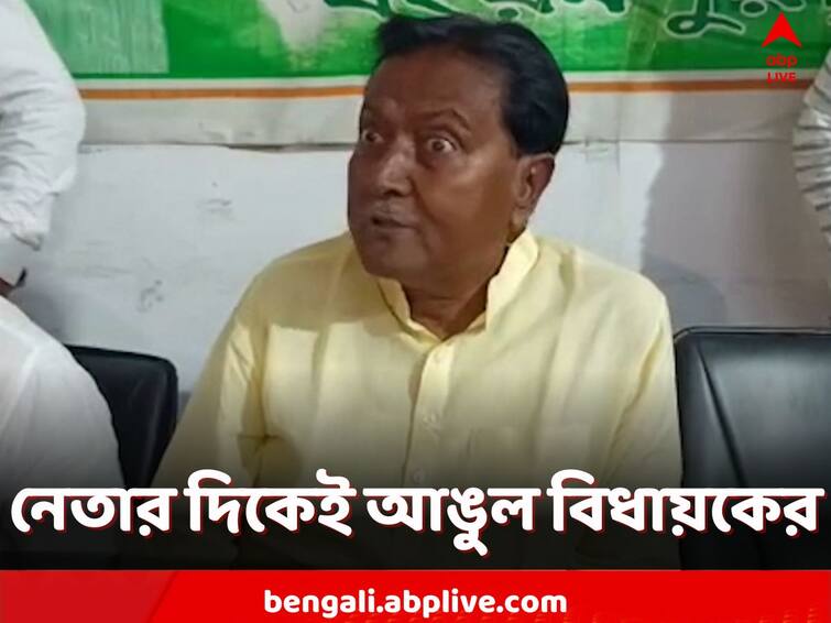 Murshidabad, TMC Mla accused party leader for viral image of his, meeting in BDO's chamber Murshidabad: বিডিওর চেয়ারে বিধায়ক! ছবি ভাইরাল হতেই দলের নেতার দিকে আঙুল ইদ্রিশের