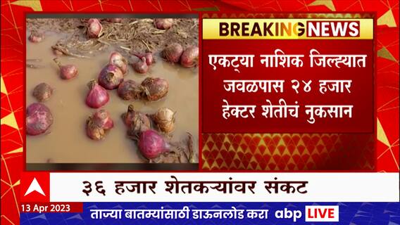 Nashik Onion Loss : अवकाळी पावसामुळे नाशिकमध्ये 18 हजार हेक्टरवरील कांद्याचं नुकसान