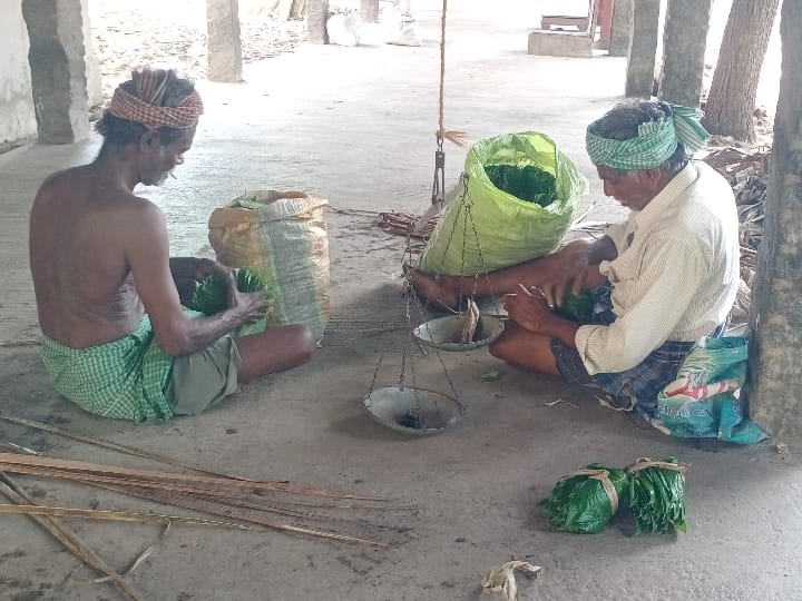 ஆத்தூர் வெற்றிலைக்கு புவிசார் குறியீடு - வெற்றிலை விவசாயம் மேலும் தழைக்க, மானியத்துடன் கூடிய கடன்கள் வழங்க கோரிக்கை