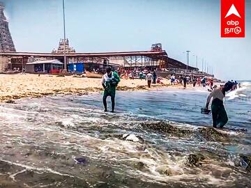 Thiruchendur Seaweed : திருச்செந்தூரில் ஒதுங்கும் கடல்பாசி.. கருப்பாக மாறிய கடல்... பக்தர்கள் அவதி..