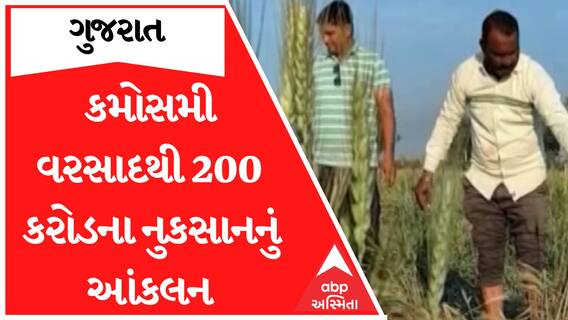 Gujarat Unseasonal Rain : ગુજરાતમાં કમોસમી વરસાદથી 200 કરોડનું નુકસાન થયાનું આંકલન
