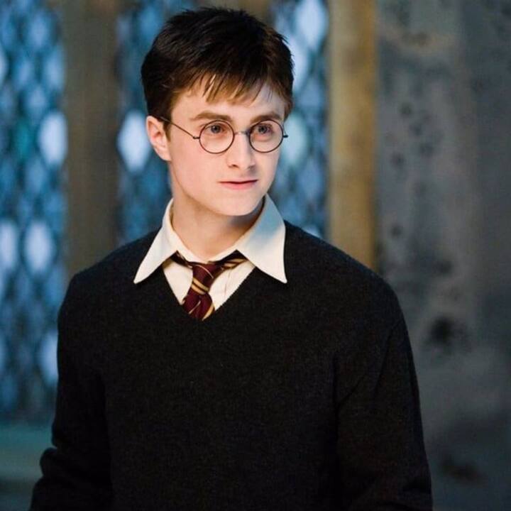 ஹாரி பாட்டர் படம், புத்தகங்களில் உள்ள கதைகளை தழுவி எடுக்கப்பட்டு 8 பாகங்களாக வெளியானது.