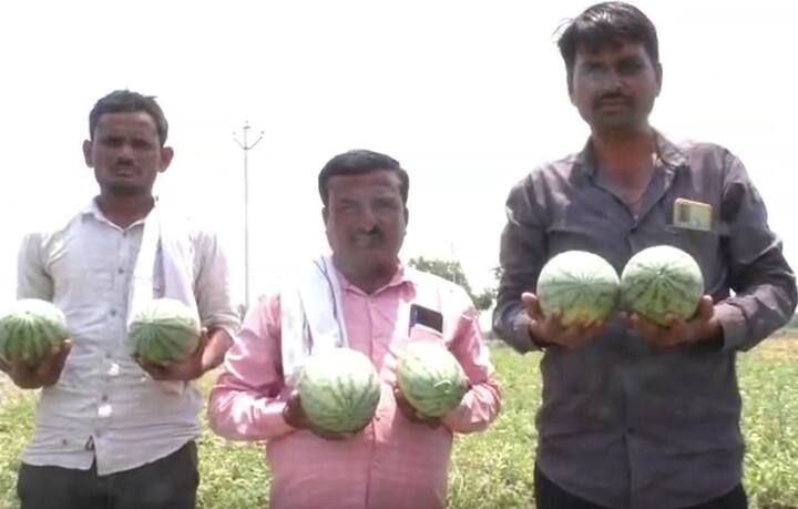 गुलाब देशमुख यांनी कमी खर्चात चांगले उत्पादन घेतलं आहे. नियोजनपूर्वक शेती करत कष्टाच्या घामाला दाम मिळतो हे त्यांनी दाखवून दिले आहे.