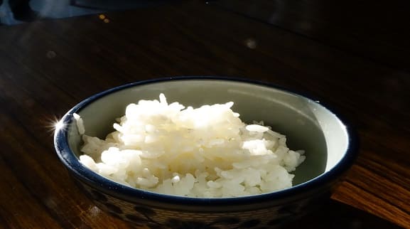Health Tips : Why do people eat stale rice during summer Summer Health Tips: গরমে পান্তা ভাত খেলে কোন কোন মারাত্মক রোগের উপশম হতে পারে ?