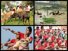 Assam’s Biggest Festival Rongali Bihu Begins With ‘Goru Bihu’ — SEE PICS