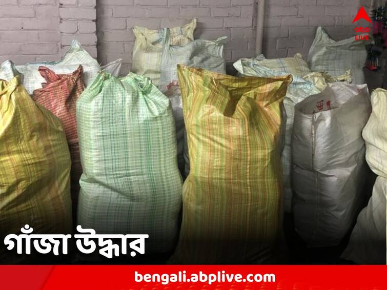 Narcotics Control Bureau raided Lilua in Howrah and recovered more than 800 kg of ganja. Howrah News: আটশো কেজির বেশি গাঁজা উদ্ধার নারকোটিক্স কন্ট্রোল ব্যুরোর, গ্রেফতার ৪