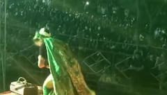 gautami Patil lavni show : जुन्नरच्या बंदोबस्ताला मानलं बुवा! ना राडा, ना गोंधळ, गौतमी पाटीलचा कार्यक्रम शांततेत...