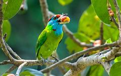 Weather Update: বাতাসে আগুনের হলকা, বঙ্গে আরও বাড়বে তাপমাত্রার পারদ