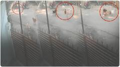 Nagpur Stray Dogs Attack | 6 ఏళ్ల బాలుడిపై వీధి కుక్కల దాడి...వైరల్ గా మారిన వీడియో | ABP Desam