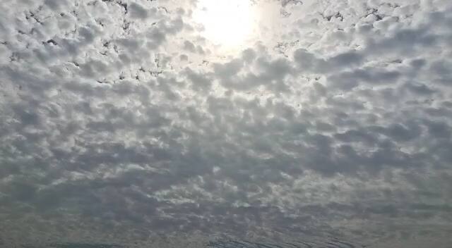 Gujarat Weather Update: રાજ્યમાં આગામી 5 દિવસ તાપમાનમાં નહીં થાય કોઈ ફેરફાર, જાણો ખેડૂતો માટે શું છે રાહતના સમાચાર Gujarat Weather Update: There will be no change in temperature in the state for the next 5 days know what is the relief news for farmers Gujarat Weather Update: રાજ્યમાં આગામી 5 દિવસ તાપમાનમાં નહીં થાય કોઈ ફેરફાર, જાણો ખેડૂતો માટે શું છે રાહતના સમાચાર