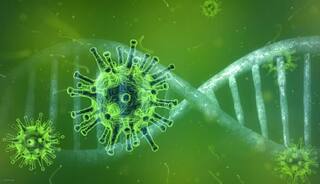 COVID-19:  What is Arcturus COVID variant? All you need to know about ‘new’ strain in India COVID-19: 22 દેશોમાં તબાહી મચાવનારો વેરિયન્ટ પહોંચ્યો ભારત, 10-12 દિવસ વધુ મુશ્કેલ, WHOએ આપી ચેતવણી