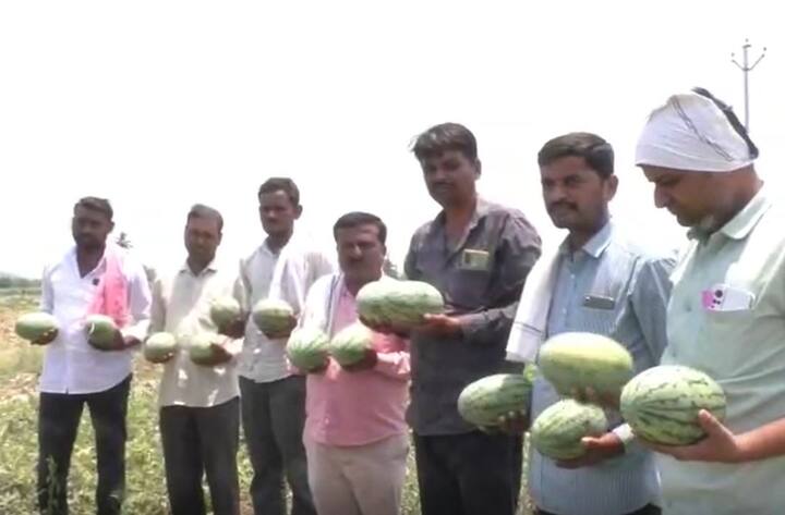 अवघ्या 100 दिवसांत तीन लाख रुपयांचे उत्पन्न जरी पदरी पडले असले तरी यामागे मोठे व्यवस्थापन असल्याचे दिसून येते.