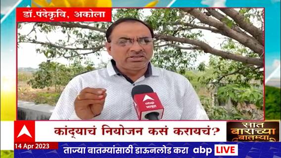 अवकाळीने कांदा उत्पादकाच्या डोळ्यात पाणी, मन सुन्न करणारी आकडेवारी
