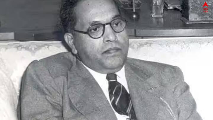 তিনি ছিলেন একজন দার্শনিক, ইতিহাসবিদ এবং অর্থনীতিবিদ। ভারতের সংবিধানের প্রধান কারিগর ছিলেন তিনি।