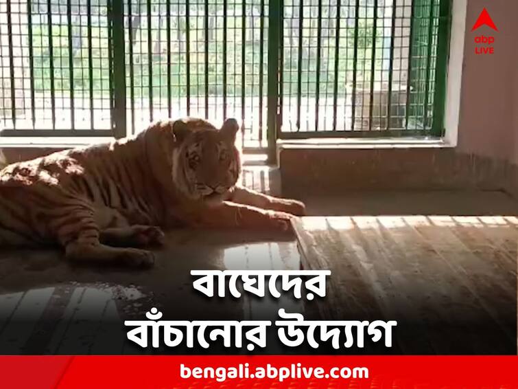 Forest department takes special initiative to relieve Royal Bengals South 24 Parganas: গরমে নাজেহাল বণ্য়প্রাণ, রয়্য়াল বেঙ্গলদের স্বস্তি দিতে বিশেষ উদ্যোগ বন দফতরের