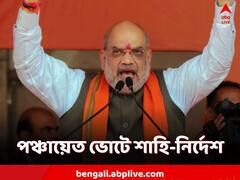 'সংগঠনের জোরেই লড়তে হবে পঞ্চায়েত ভোটে', দলকে সাফ বার্তা শাহর