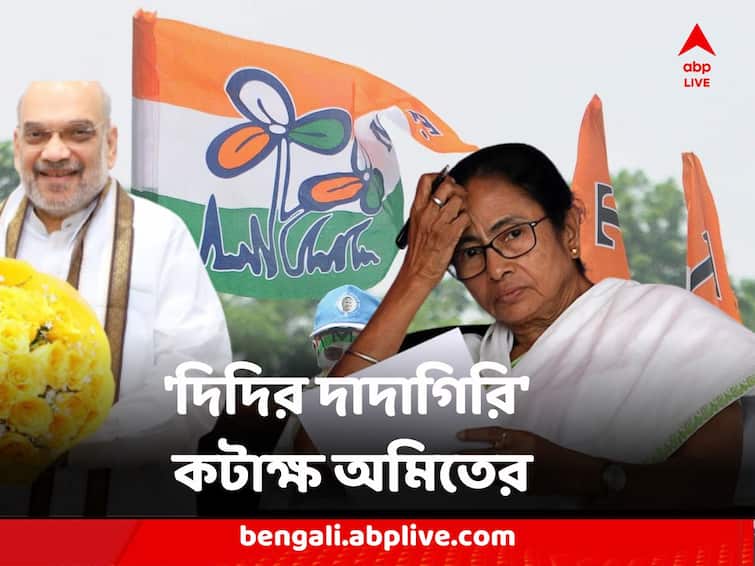 BJP Amit Shah Attacks TMC Mamata Banerjee over several leaders in jail Amit Shah Attacks Mamata Banerjee : 'দিদির দাদাগিরির জন্যেই একের পর এক তৃণমূল নেতা জেলে' কটাক্ষ অমিতের