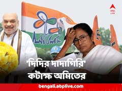 'দিদির দাদাগিরির জন্যেই একের পর এক তৃণমূল নেতা জেলে' কটাক্ষ অমিতের