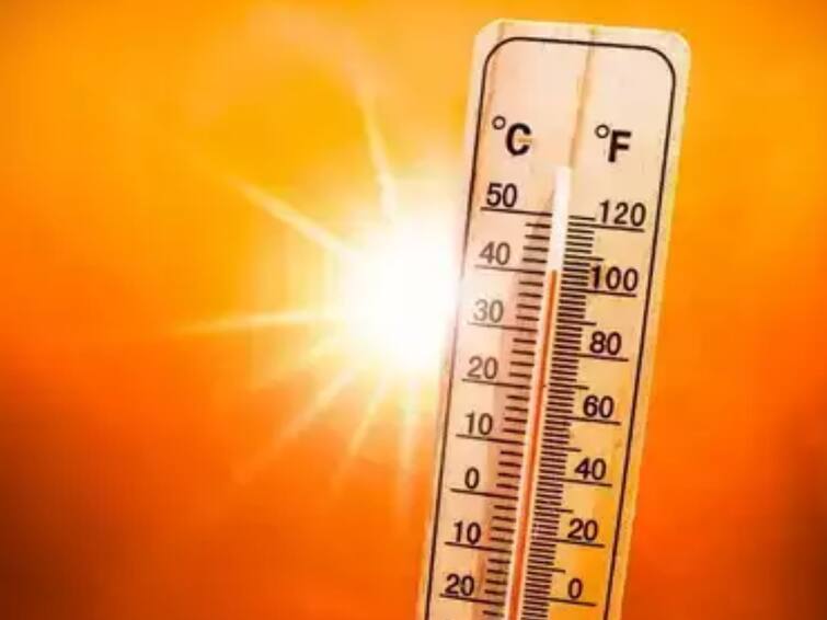 What are exact causes of heat stroke Know symptoms and remedies Maharashtra Marathi News Heat Stroke: उष्माघात होण्याची नेमकी कारणं काय? जाणून घ्या लक्षणं अन् उपायही