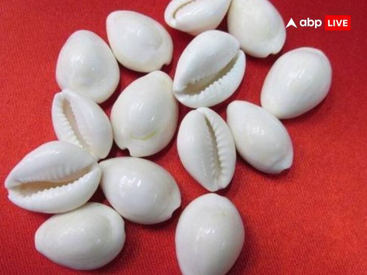 इस दिन 11 कौड़ियां खरीदकर उनकी पूजा करें इससे मां लक्ष्मी प्रसन्न होकर धन के भंडार भर देंगी और आपके घर सुख समृद्धि आएगी.