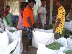 கரூர் மாவட்டத்தில் அதிக விளைச்சல் இருந்தும் முருங்கை விலை குறைவு - விவசாயிகள் கவலை