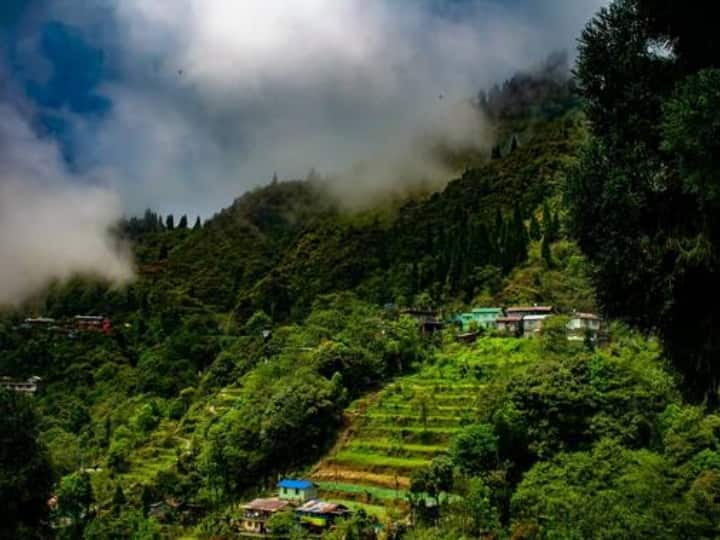 बरोग - हिमाचल का ये हिल स्टेशन भी चंडीगढ़ के पास के ऑफबीट हिल स्टेशनों में से एक है. यहां कई होटल और रिसॉर्ट हैं जहां आप फैमिली के साथ क्वालिटी टाइम स्पेंड कर सकते हो. बता दें कि चंडीगढ़ से बरोग की दूरी 2 घंटे हैं, तो जबकि दिल्ली से आपको यहां पहुंचने में 6 घंटे लगेंगे.