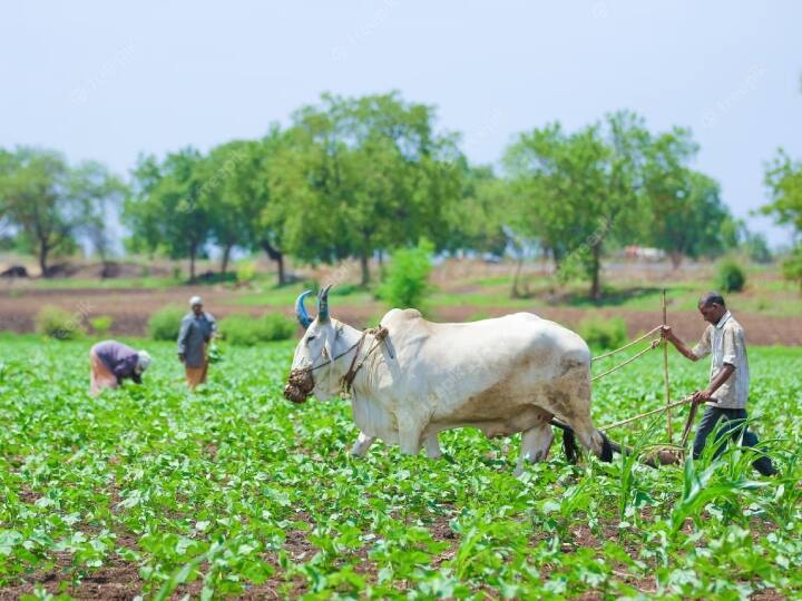 ये रकम खेती में मदद के लिए दी जाती है. अभी तक इस योजना के तहत 13वीं किस्त केंद्र सरकार की ओर से जारी की जा चुकी है.