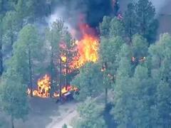 सूरजपुर के चांदनी-बिहारपुर क्षेत्र के जंगलों में लगी भीषण आग, चारों ओर नजर आ रहा धुंए का गुबार