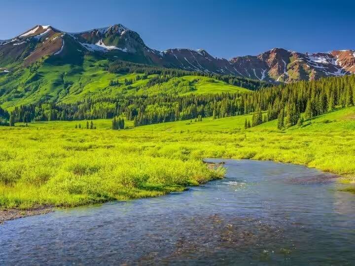 रेणूका झील- क्या आप जानते हैं कि सिरमौर जिले में स्थित रेणुका झील हिमाचल प्रदेश की सबसे बड़ी झील है? रेणुका झील हिमाचल के छिपे रहस्यों में से एक है, जिसके बारे में बहुत कम ही लोग जानते हैं. ये पूरा क्षेत्र प्रकृति और मानव निर्मित चीज़ों का एक सुंदर मिश्रण है. हिंदू धार्मिक ग्रंथों के मुताबिक, यह भगवान विष्णु के छठे अवतार ऋषि परशुराम का जन्मस्थान भी है.