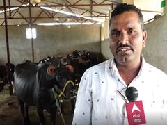 डीएड केलं पण नोकरी नाही, बीडच्या तरुणानं दुग्ध व्यवसायातून साधली प्रगती; महिन्याला मिळवतोय 50 हजारांचा नफा 