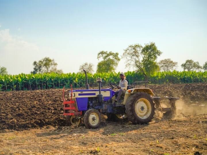 पीएम किसान योजना के तहत बैंक अकाउंट नंबर गलत देने पर भी आपके किस्त का पैसा रुक जाएगा. वहीं अगर आप इनकम टैक्स भरते हैं तो भी पैसा नहीं मिलेगा.