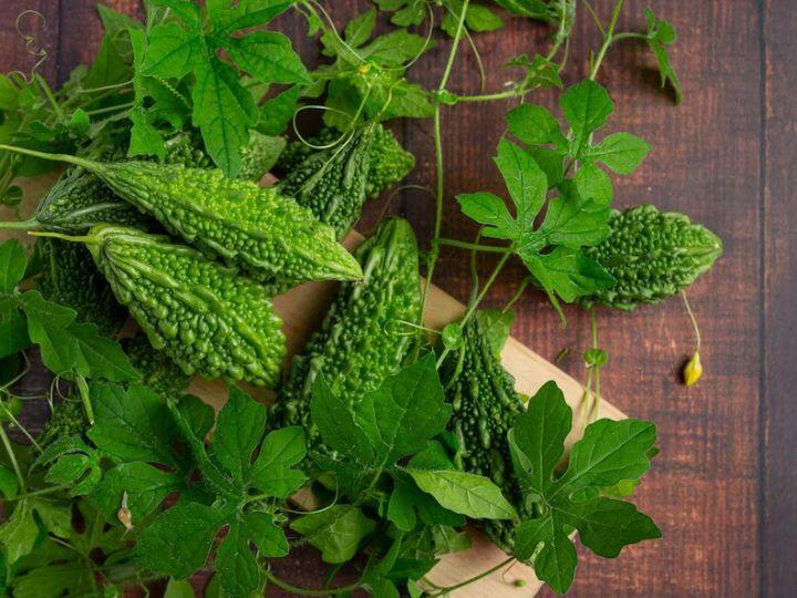 करेले खाने के अनगिनत लाभ हैं. हालांकि इसके बावजूद इसे गलत चीजों के साथ मिलाकर खाने से शरीर में कई बीमारियां लग सकती हैं. आइए जानते हैं कि करेले के साथ आपको कौन-कौन सी चीजें भूलकर भी नहीं खानी चाहिए.