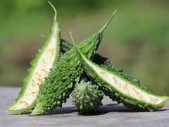 ਕਰੇਲੇ ਦੇ ਨਾਲ ਕਦੇ ਨਾ ਖਾਓ ਇਹ ਚੀਜ਼ਾਂ, ਸਰੀਰ ਨੂੰ ਲੱਗ ਸਕਦੀਆਂ ਗੰਭੀਰ ਬਿਮਾਰੀਆਂ