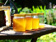 यहां मिलता है दुनिया का सबसे शुद्ध शहद, पूरी प्रोसेस में नहीं इस्तेमाल किया जाता कोई भी केमिकल