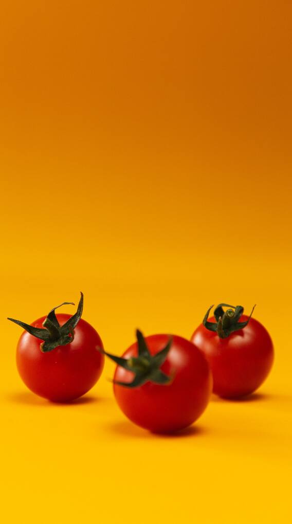 অতিরিক্ত টোম্যাটোয় ক্ষতি ?